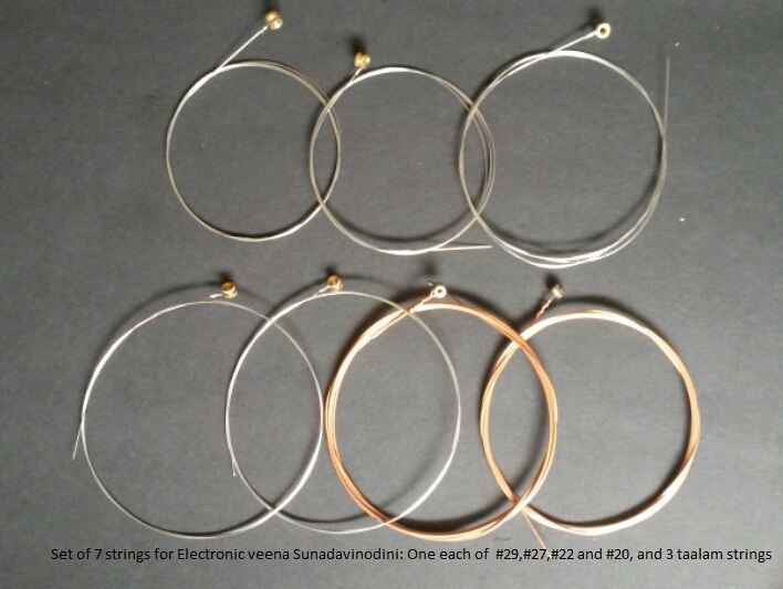 Electronic Veena String Set